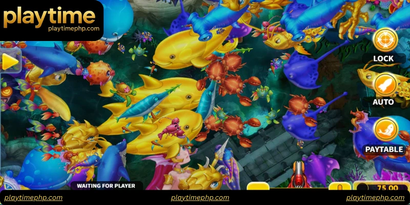 Understanding Fish Shooting VIP