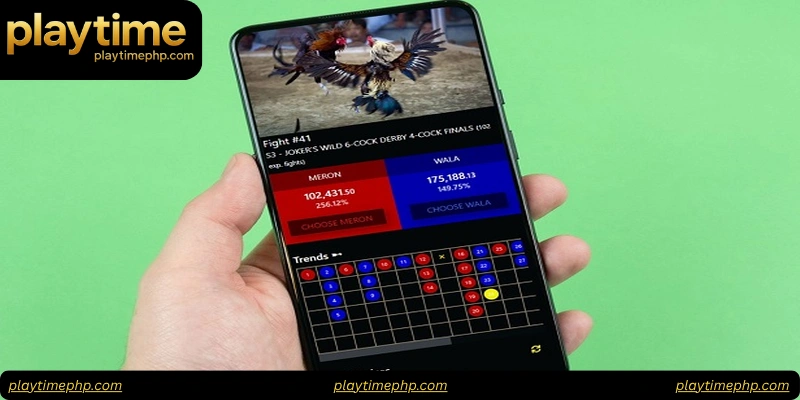 How Live Cockfight Streaming Works