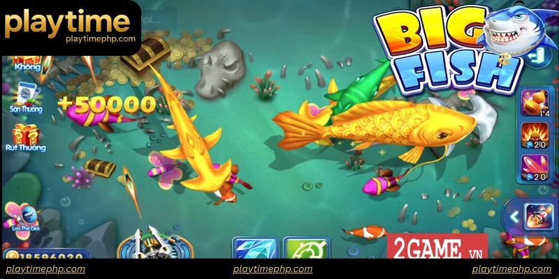Comparing Top Casino Fishing Titles