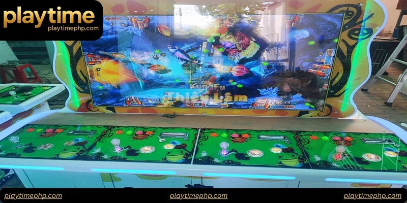 FAQs About Playtime Fishing