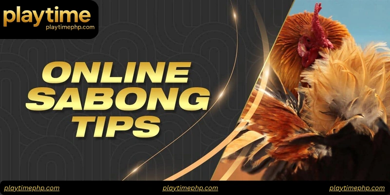 Understanding the Core of Sabong Betting