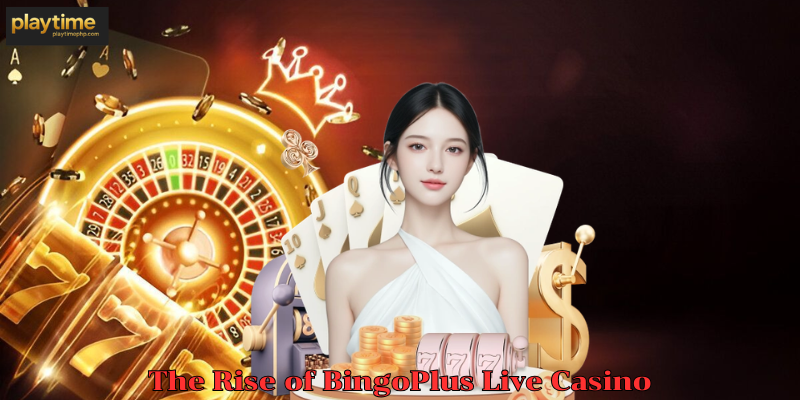 The Rise of BingoPlus Live Casino
